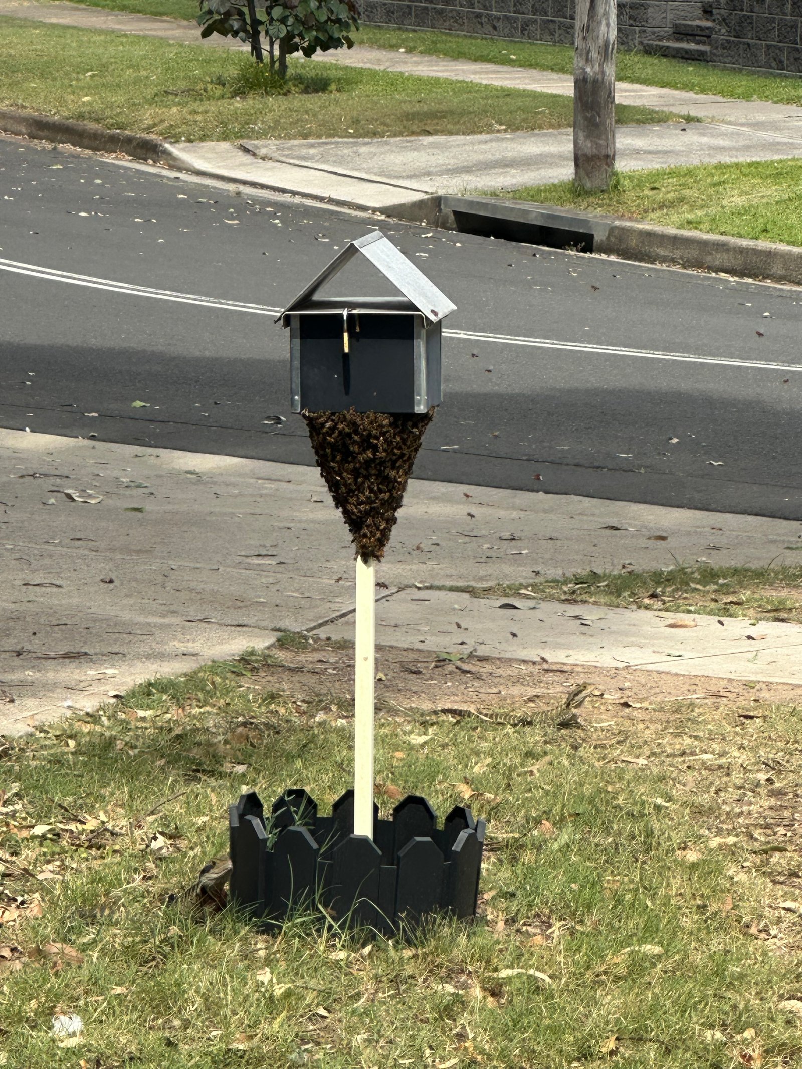 Swarm photo