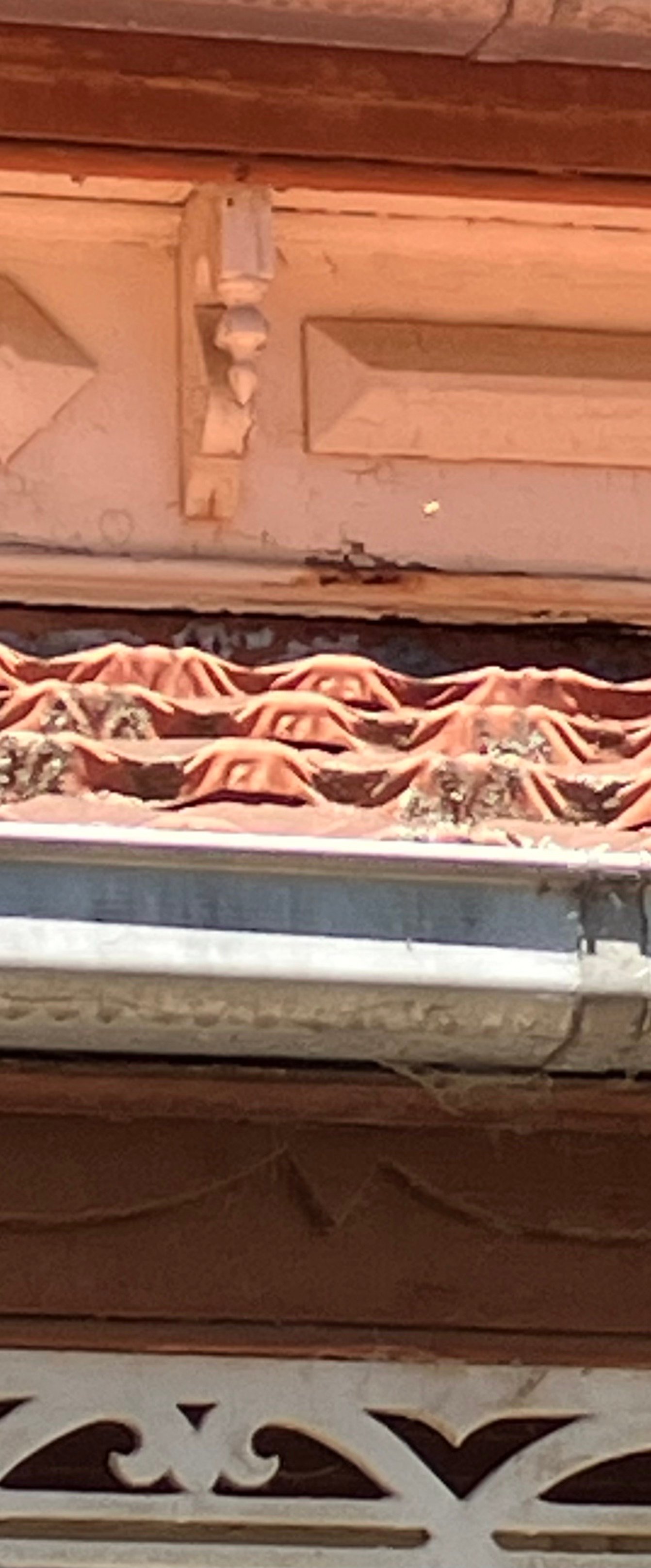Swarm photo