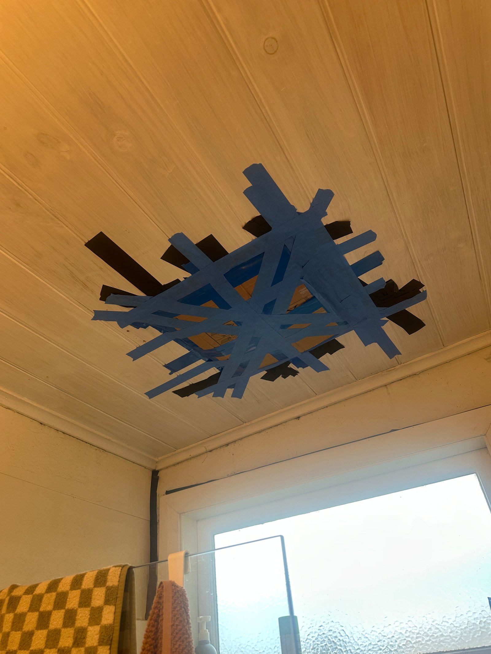 Swarm photo