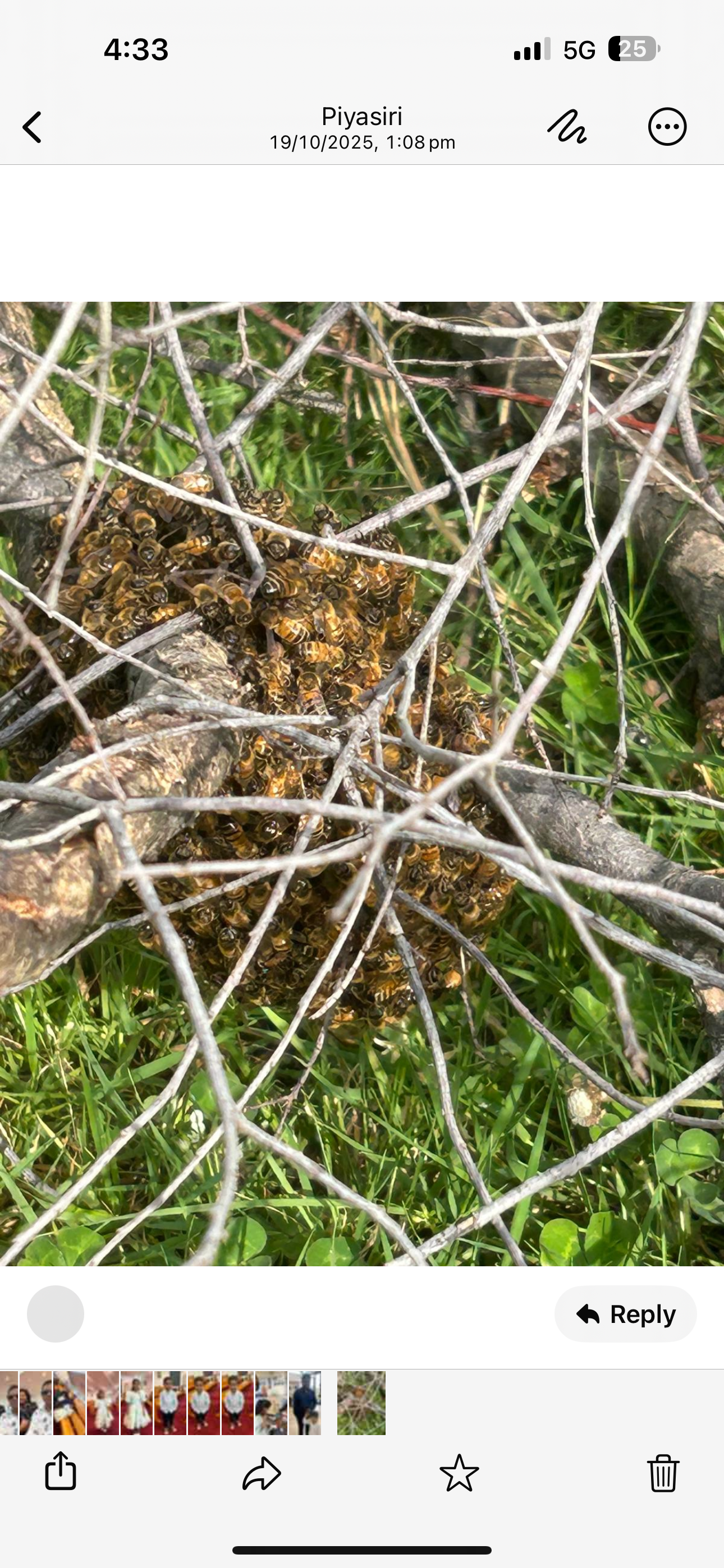Swarm photo