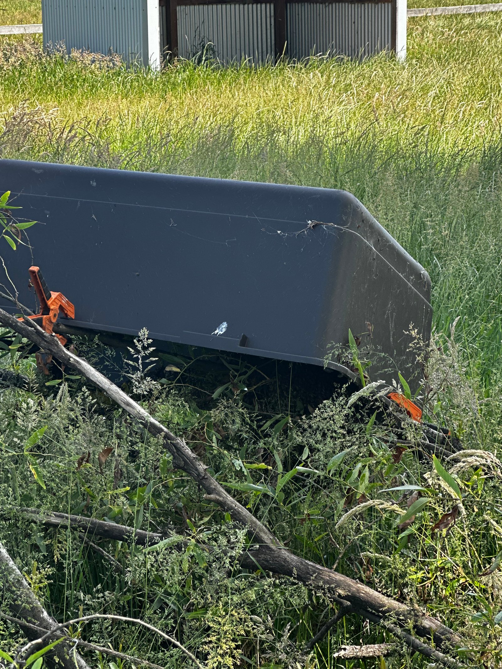 Swarm photo