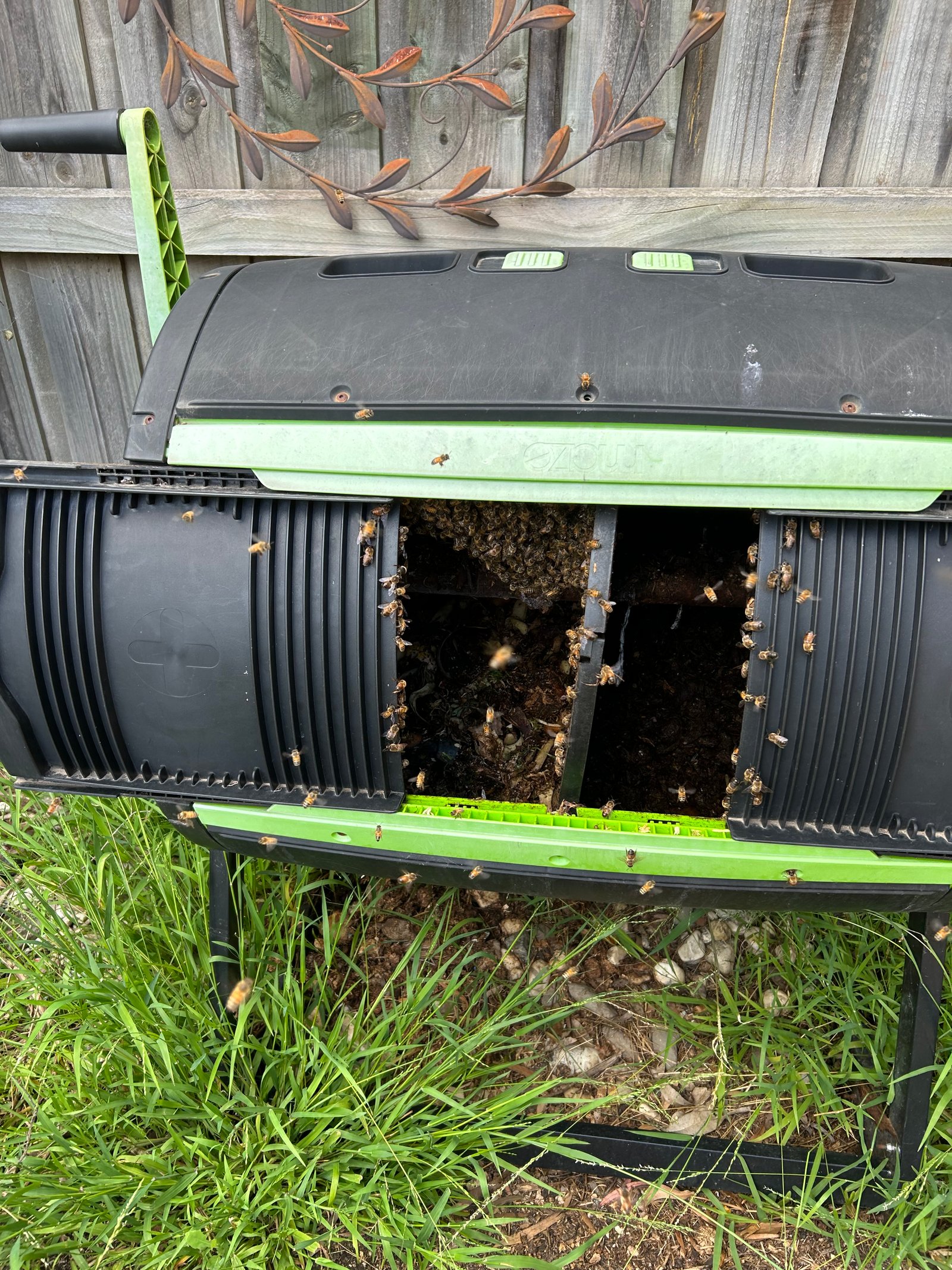 Swarm photo
