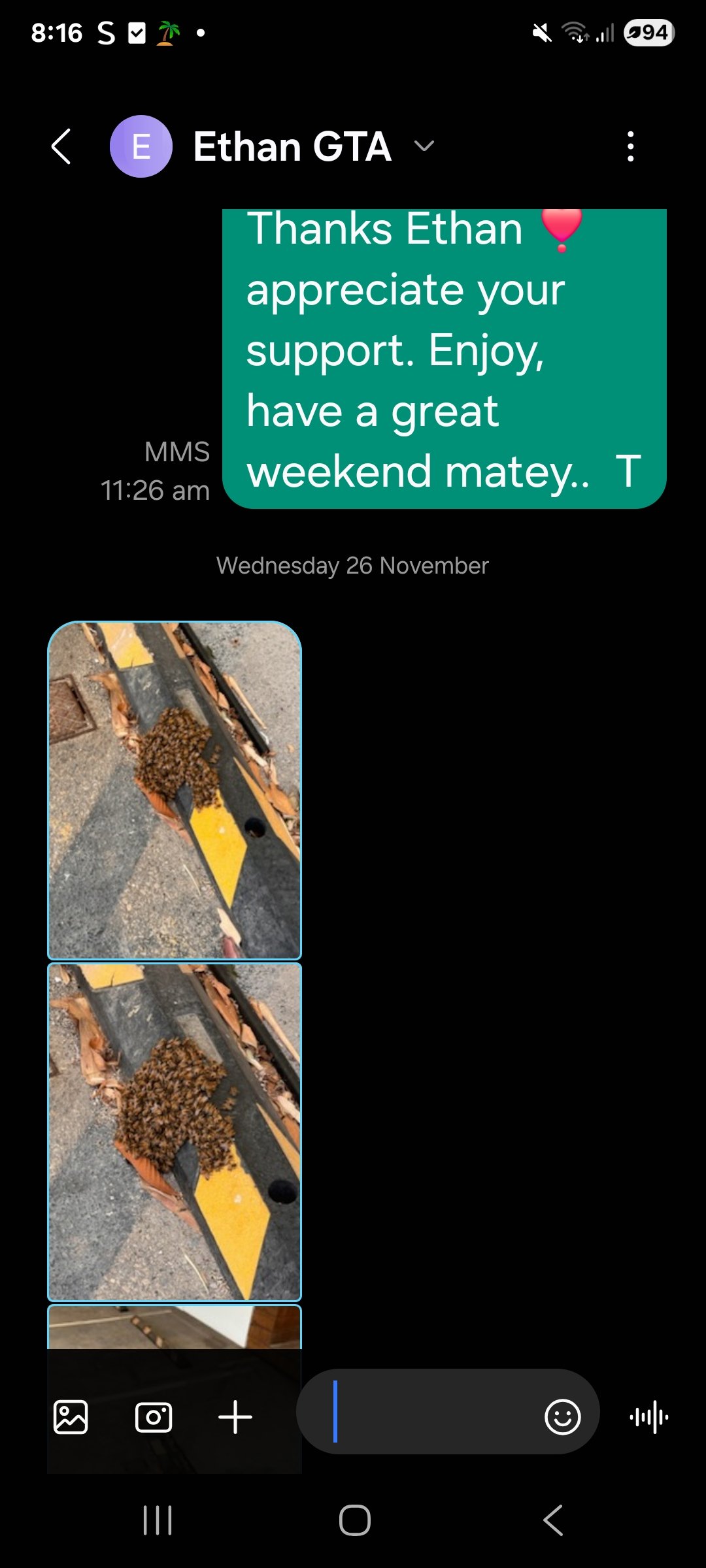 Swarm photo