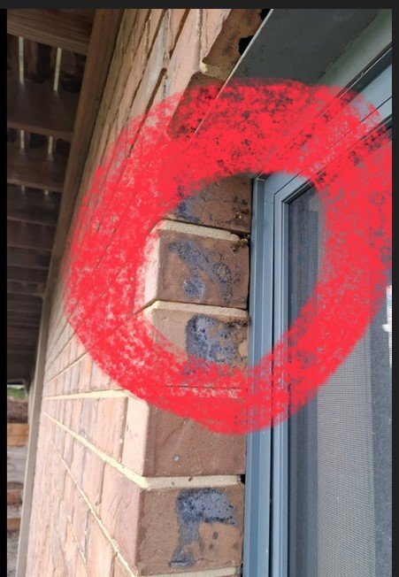 Swarm photo